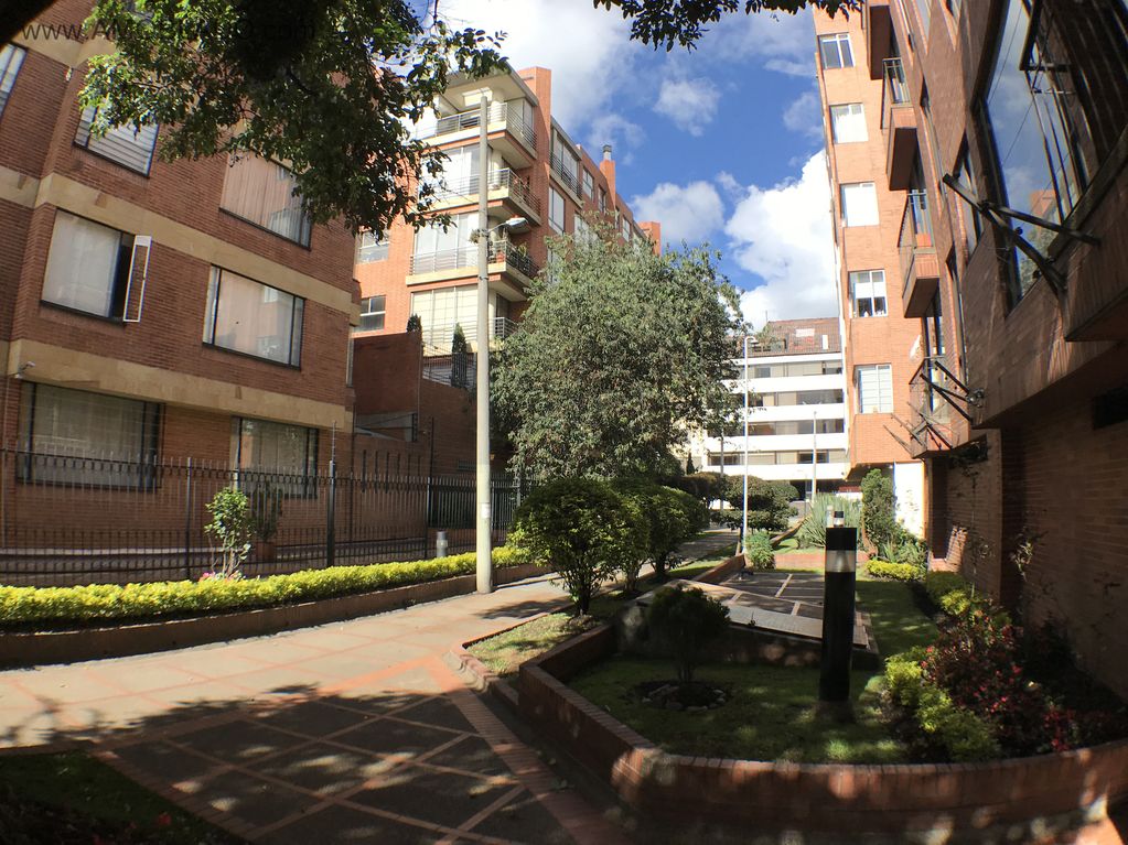 CHICÓ NAVARRA.