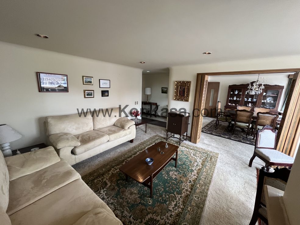 CHICÓ NAVARRA – Provenzal